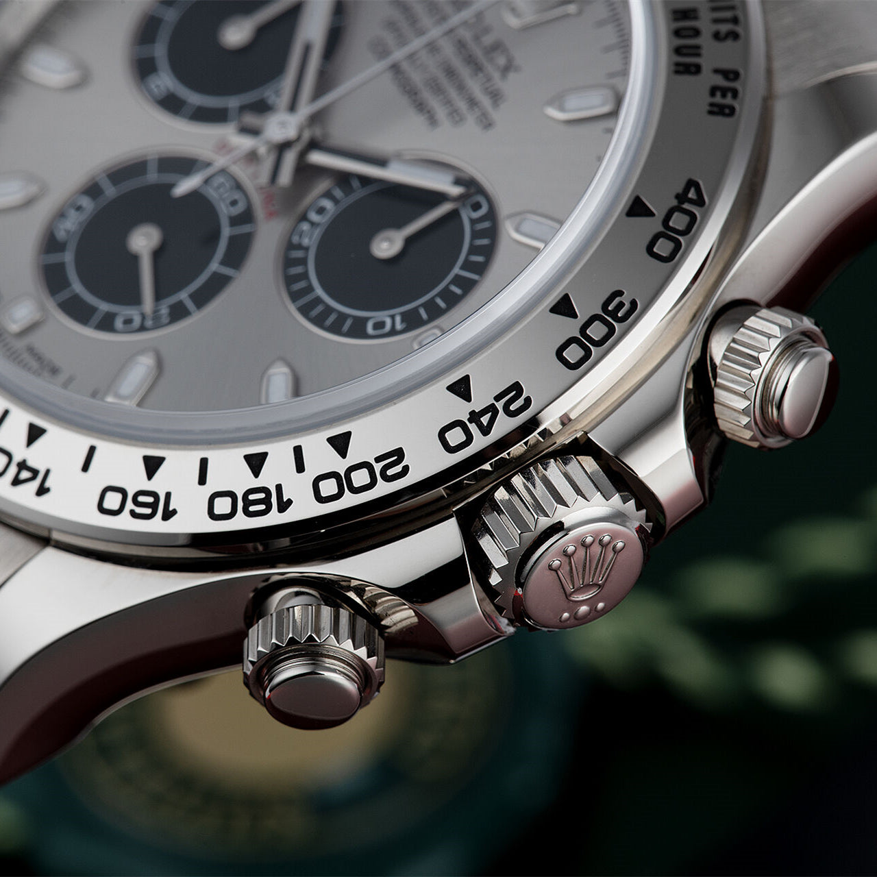 Rolex White Gold Daytona 116509 Steel and Black
